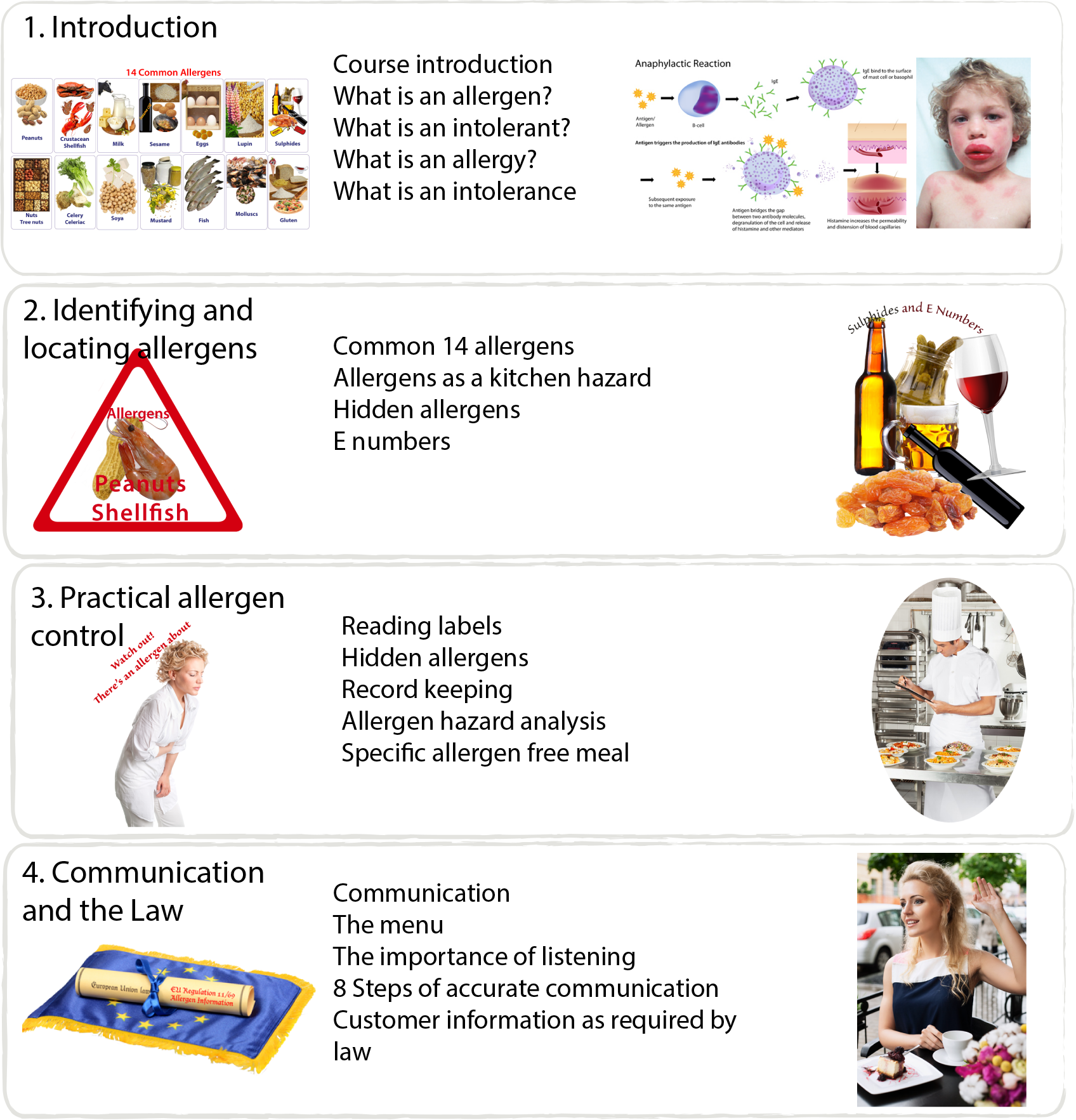 Allergens and Intolerants Contents